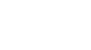 Napakka logo valkea.